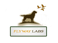 Flyway Labs Flyway Labs