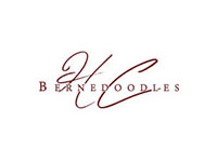 HC Bernedoodles HC Bernedoodles