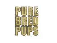 Purebred Pups Purebred Pups