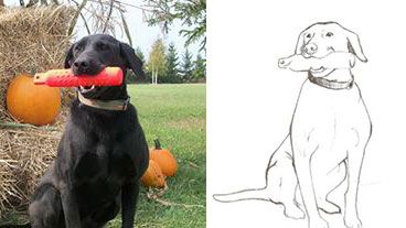 Dog Training Logo Design Ideas