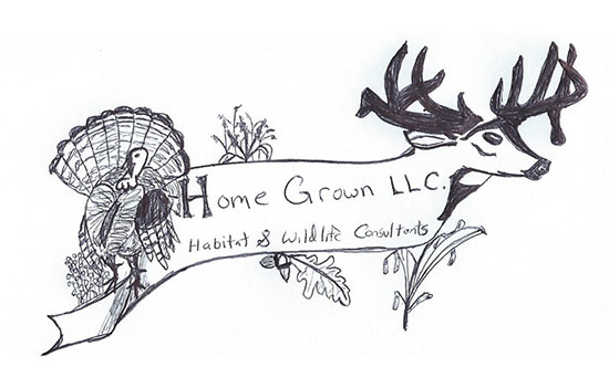 Logo Concept Sketch to Final Logo Design