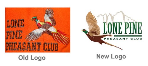 When Asking For A Custom Logo, Cite Specific Examples