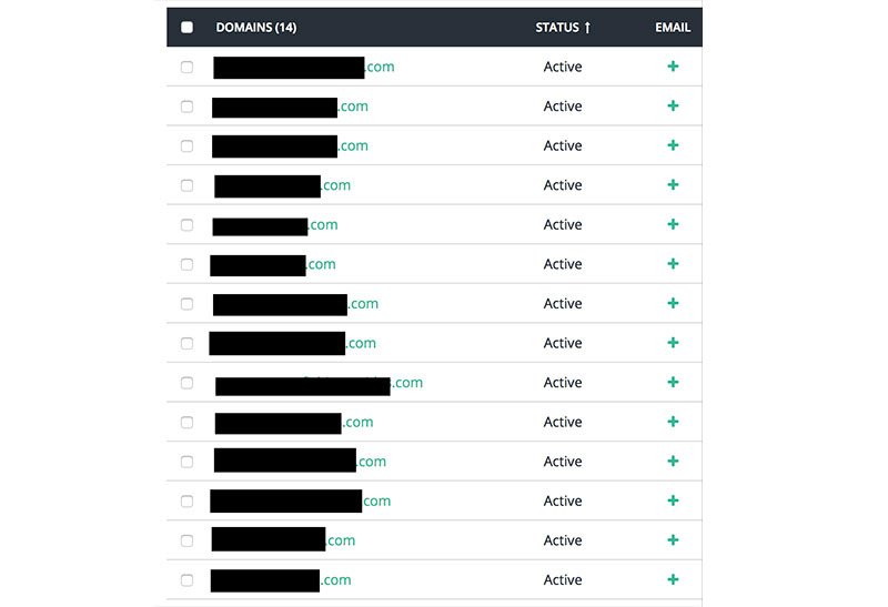 Overbuying domain names
