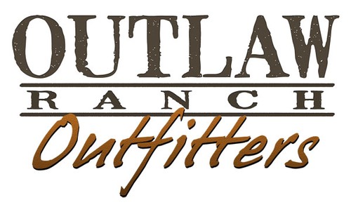 Success with Text Logos