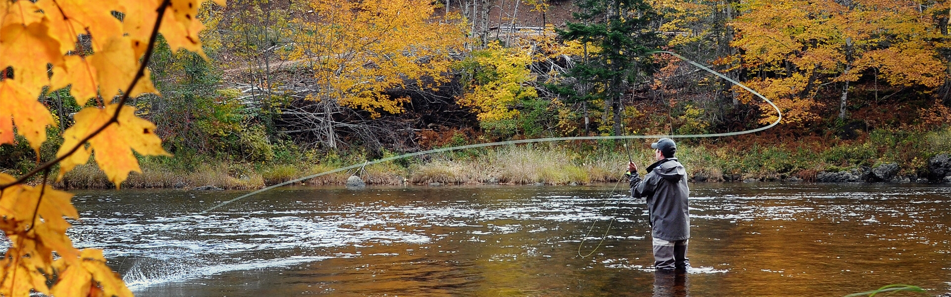 Fly Fishing Web Design & Logos