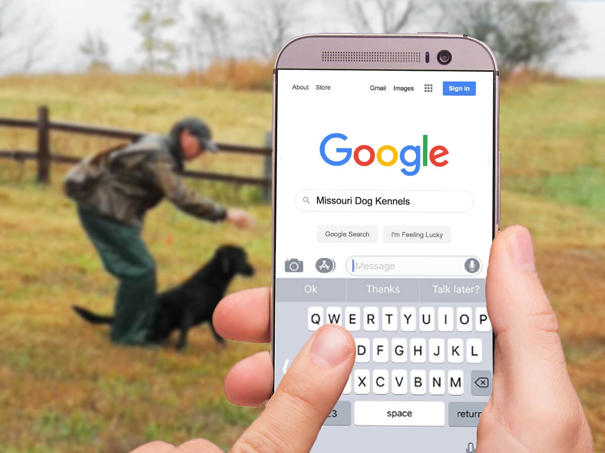 SEO for Gun Dog Breeders SEO for Gun Dog Breeders