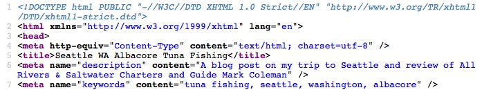 Blog Code View
