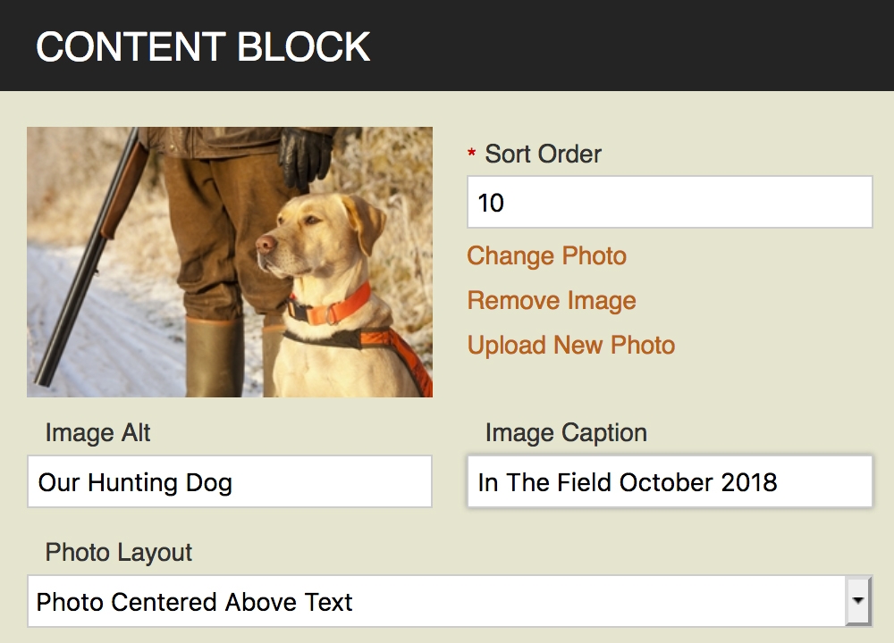 Photo Centered Above Text