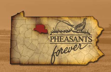 Pheasants Forever Chapter Websites from 3plains We are the official provider of PF Websites