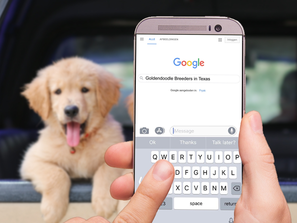 Search Engine Optimization for Breeders Dog Breeder SEO