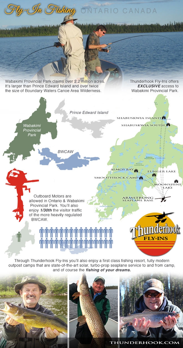 Fishing Infographic