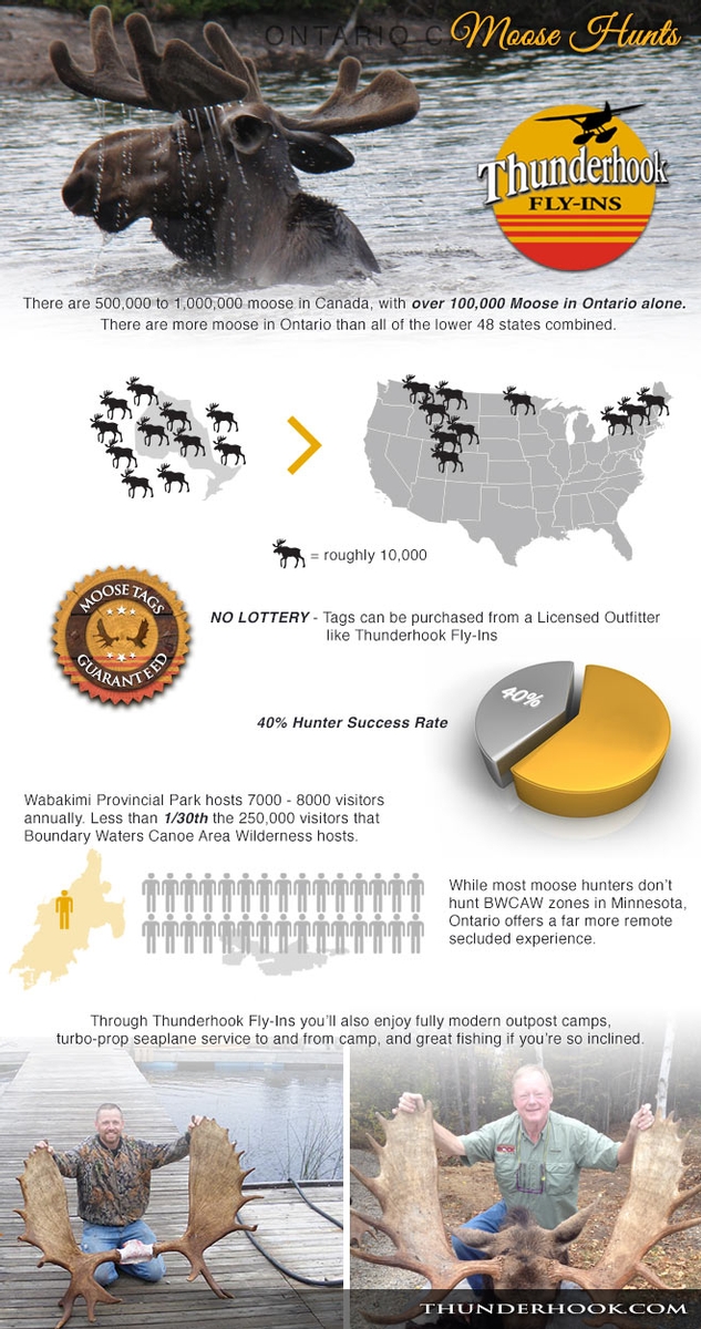 Hunting Infographic