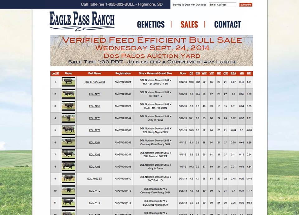 Cattle Auction Website Cattle Ranching Web Design - Bull Sales