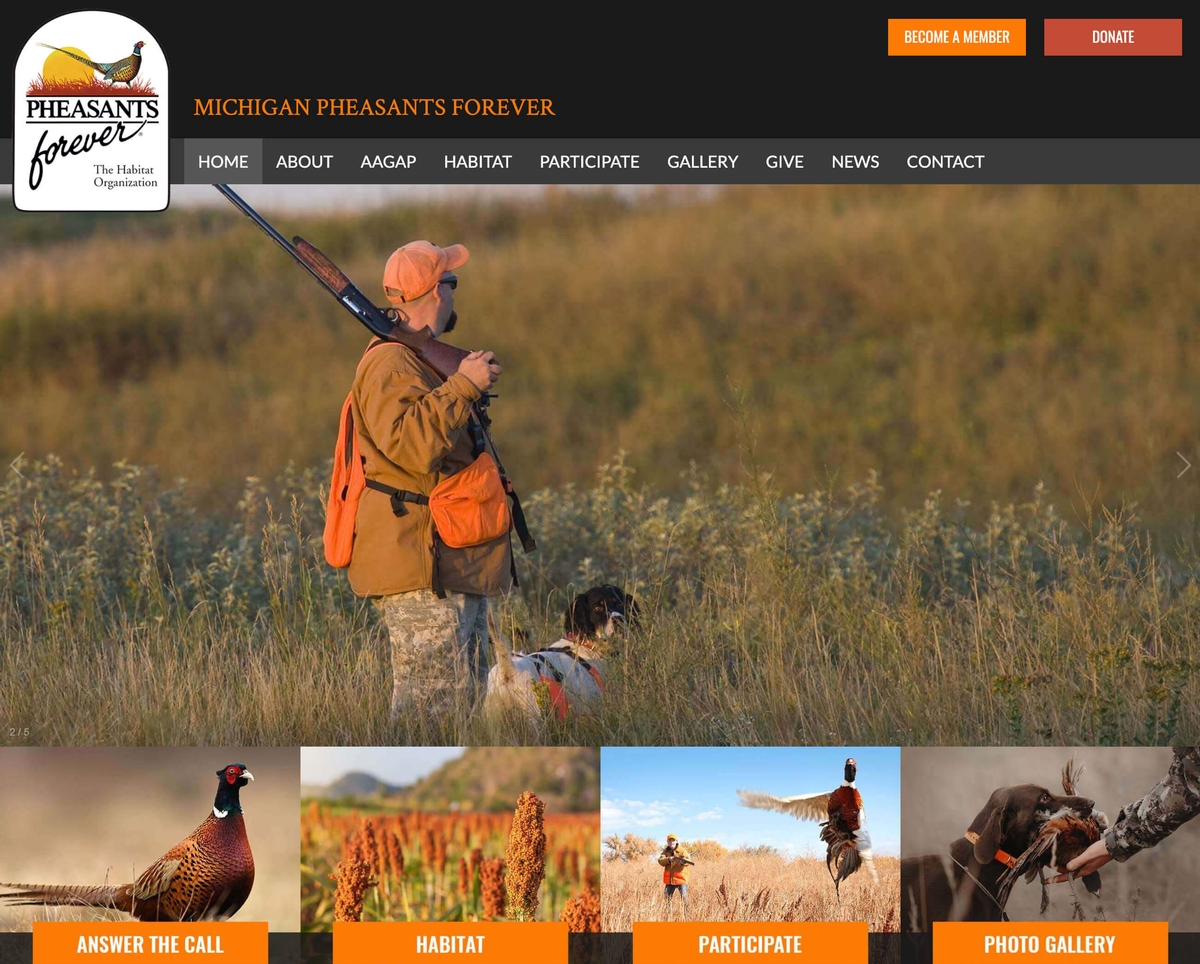 We are the official provider of PF Websites