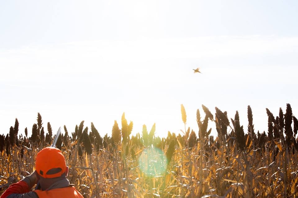South Dakota Hunting Lodge Photography