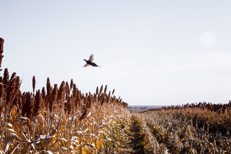 South Dakota Hunting Lodge Photography