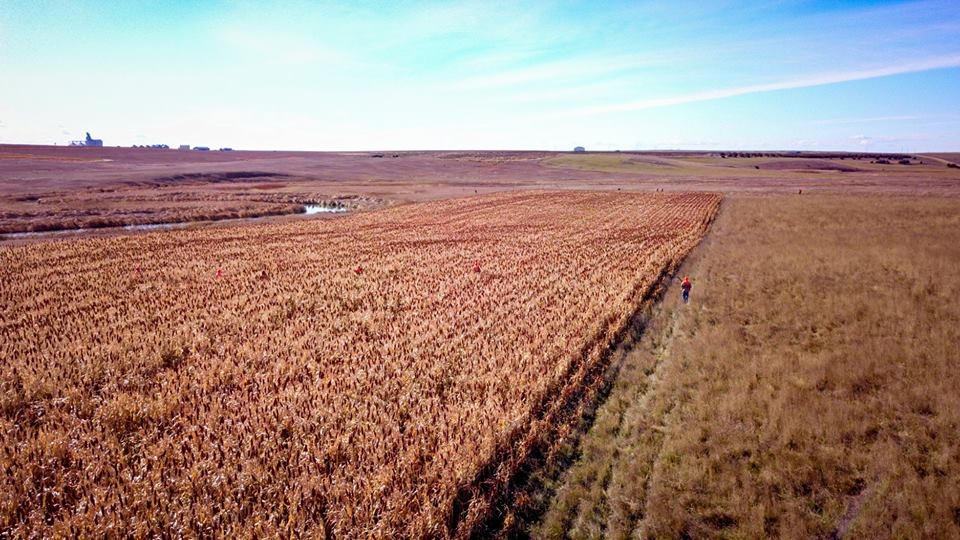 South Dakota Hunting Lodge Photography