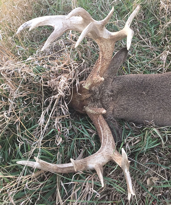 South Dakota Whitetail Deer Hunting