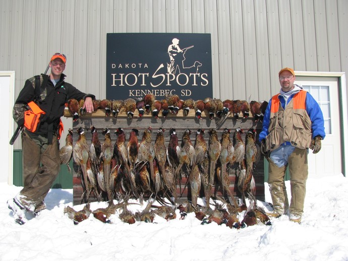 Ryan of 3plains and Mike of Dakota Hot Spots pheasant hunting in February during the extended season South Dakota pheasant hunting season in Kennebec, SD. A lot of birds and HUGE pheasant flushes.