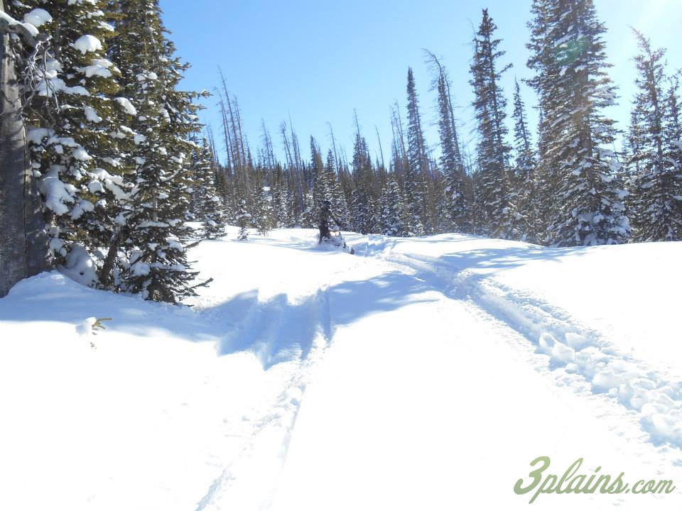Snowy Range Wyoming Snowmobile Trip