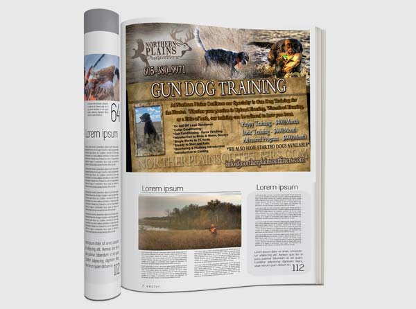 View Magazine Ad Design