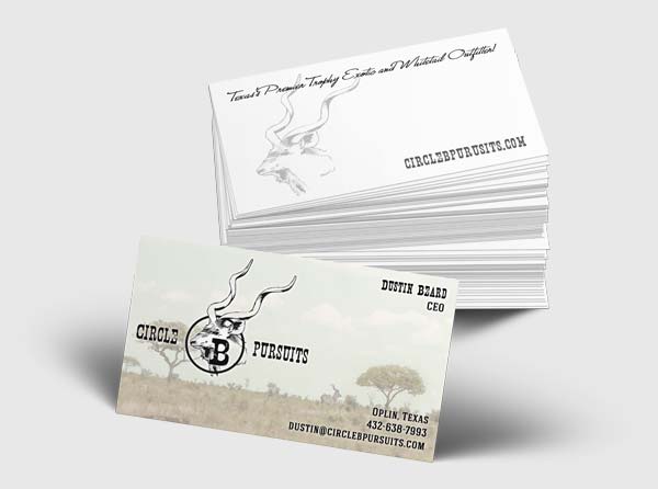 View Exotics Ranch Business Card Design