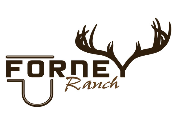 Bull Logo Design Cattle Ranching Logos