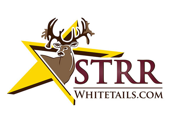Whitetail Breeder Logos Deer Breeder Logo Design