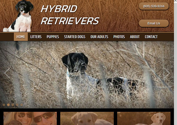 View Dog Breeder Web Design