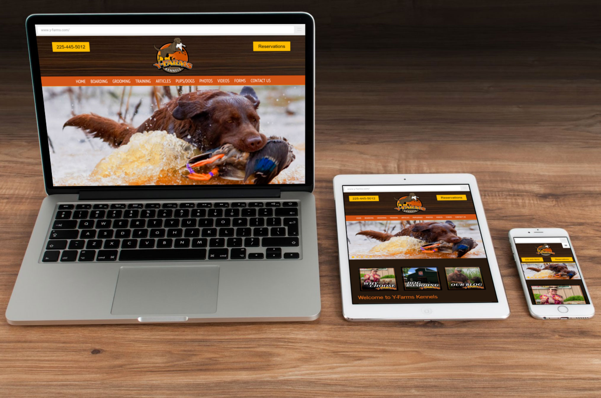 View Dog Kennel Website Design
