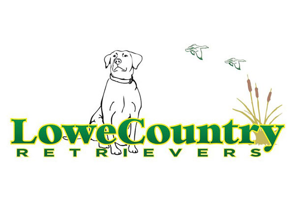 View Dog Trainer Logo Design