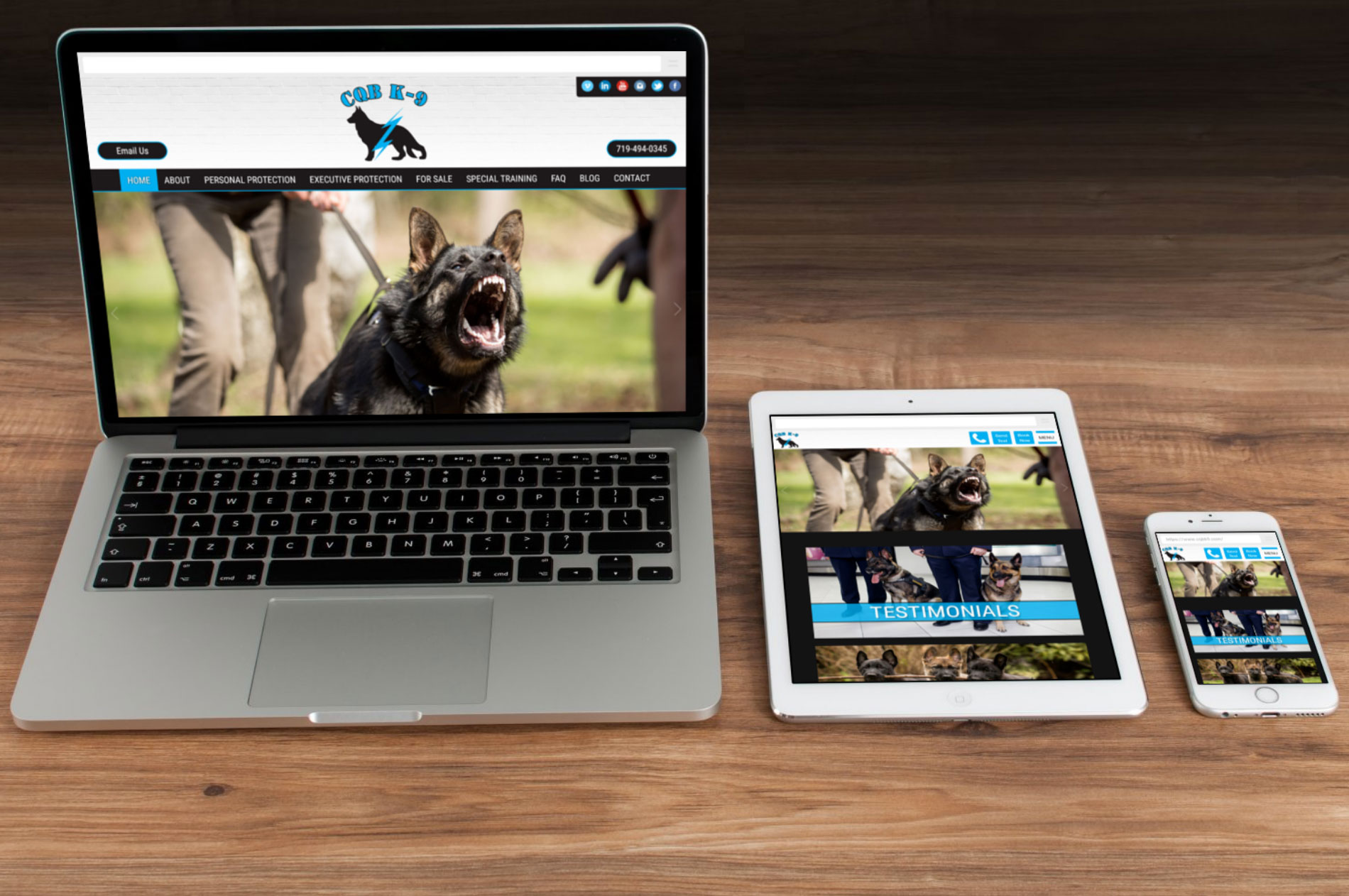 Dog Trainer Web Design Dog Trainer Web Design