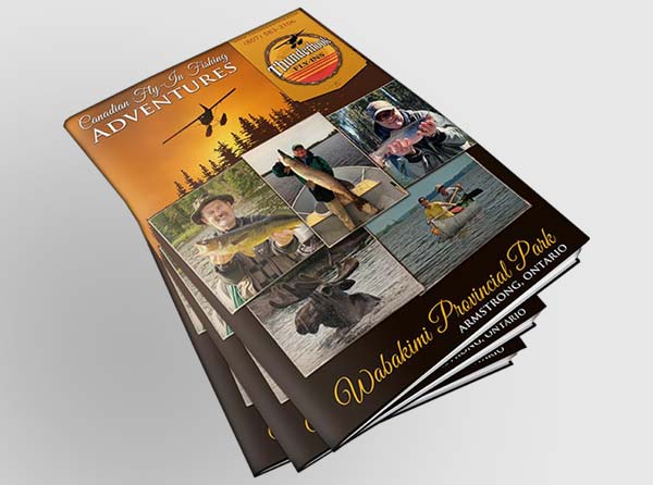 Brochure Design Brochure Design