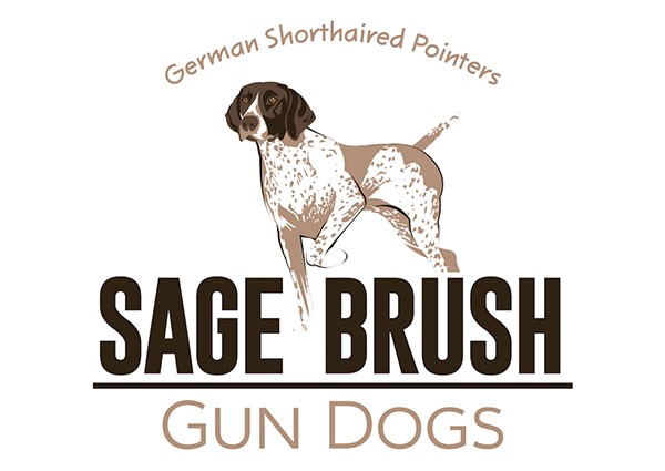 GSP Custom Logo