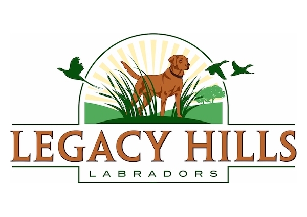 View Gun Dog Breeder Logo Design