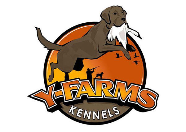 Gun Dog Training/Breeder Logo Design
