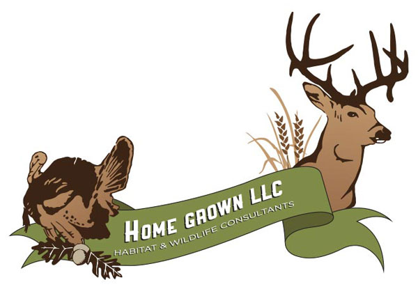 View Land Consultant Logo Design