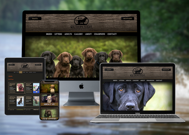 View Labrador Retriever Dog Breeder Websites