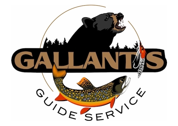 View Custom Logo Design for Maine Hunting & Fishing Outfitters