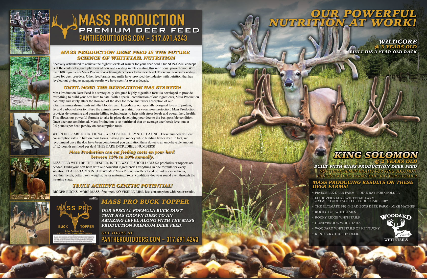 View Mass Production Brochure