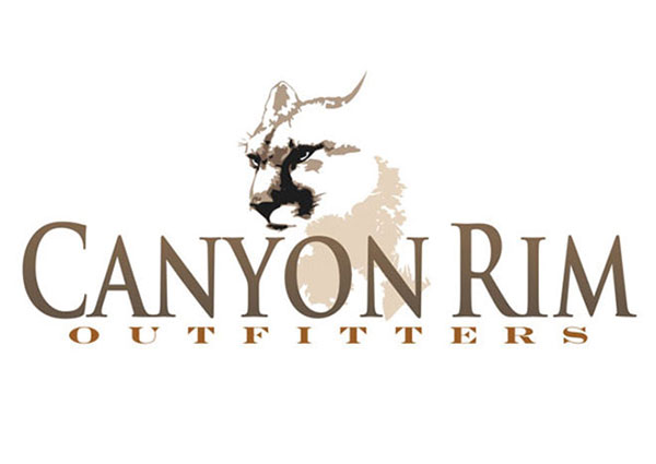 Mountain Lion Custom Logo Design