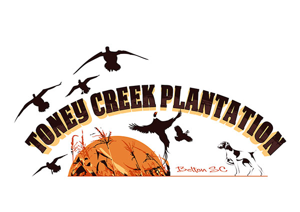 View Plantation Logo Design
