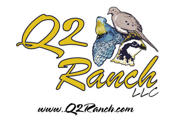 Custom Crafted Dove Quail Bird Hunting Design