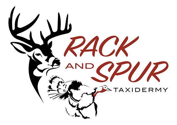 View Taxidermy Logo Design