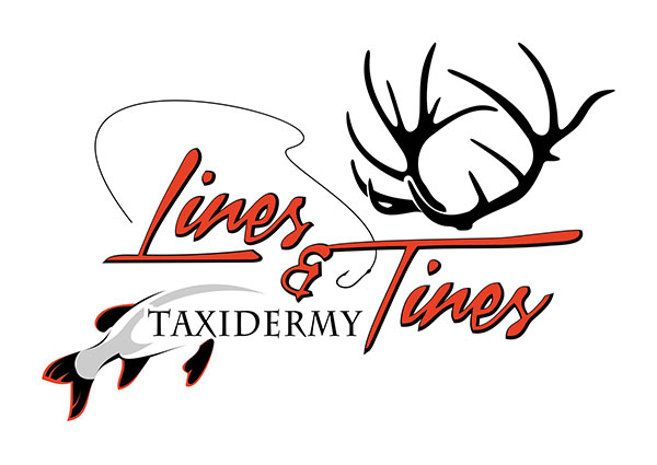 Taxidermy Logos