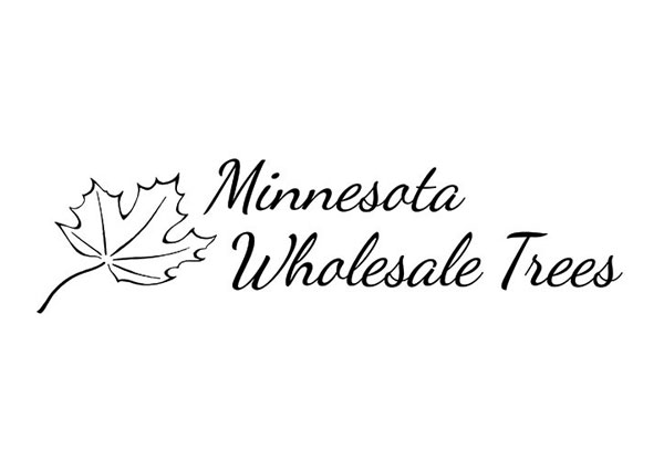 Minnesota Tree Farm - Logo Design