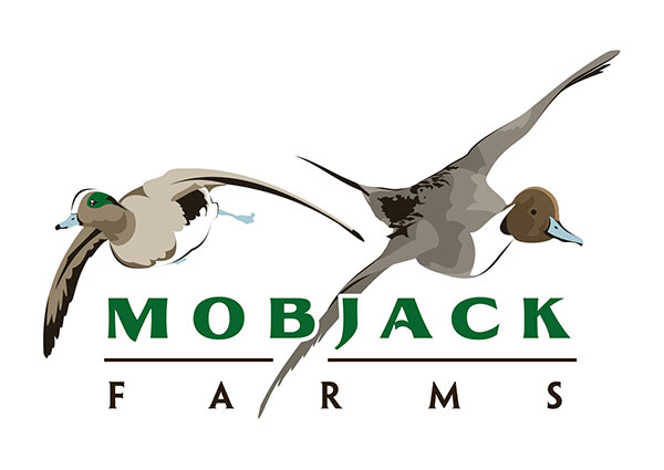 View Waterfowl Hunting Logo Design