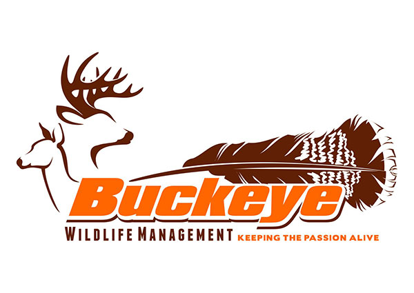 View Wildlife Management Logo Design