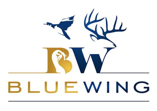 Blue Wing